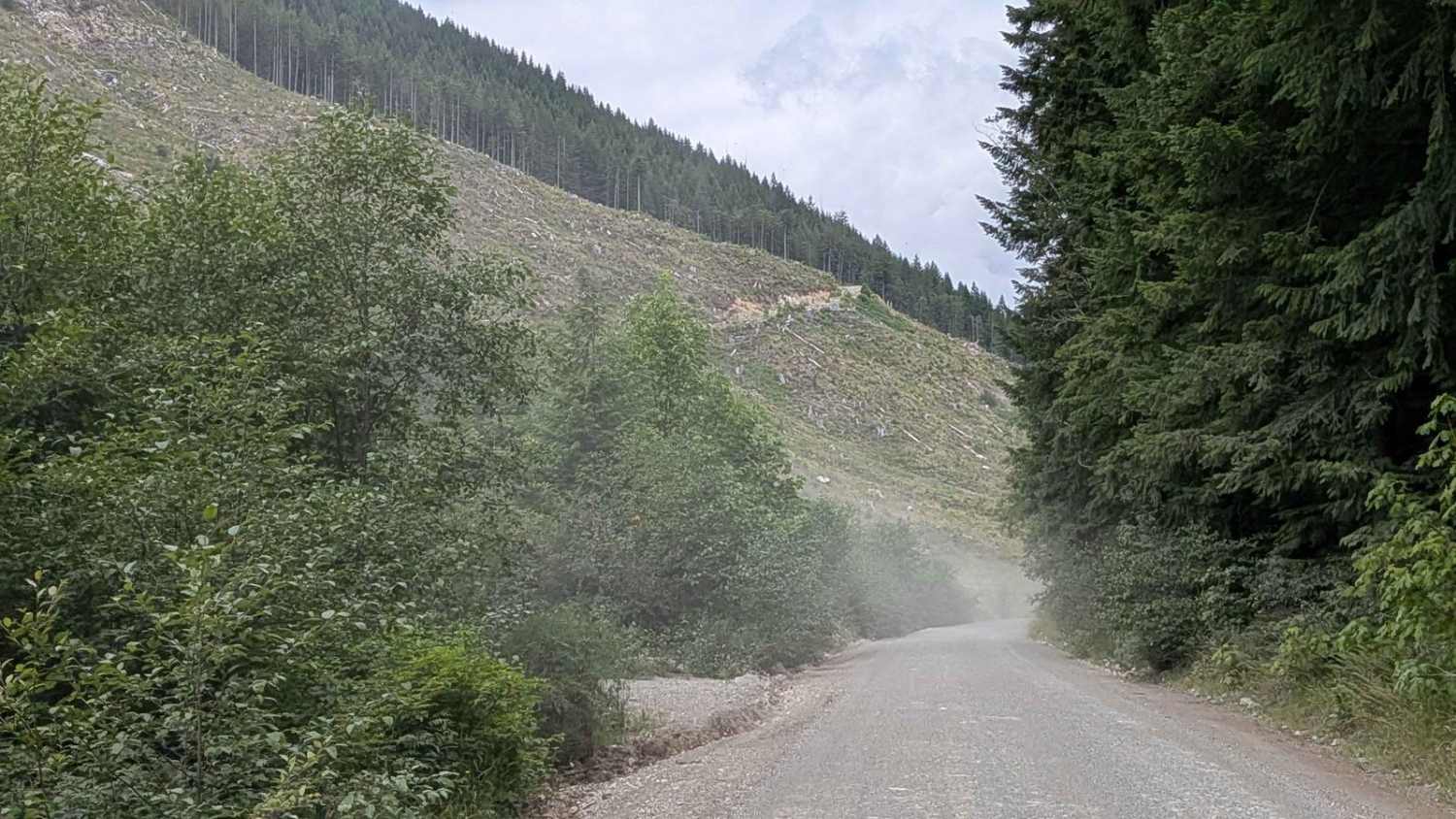 Gordon River Road North 