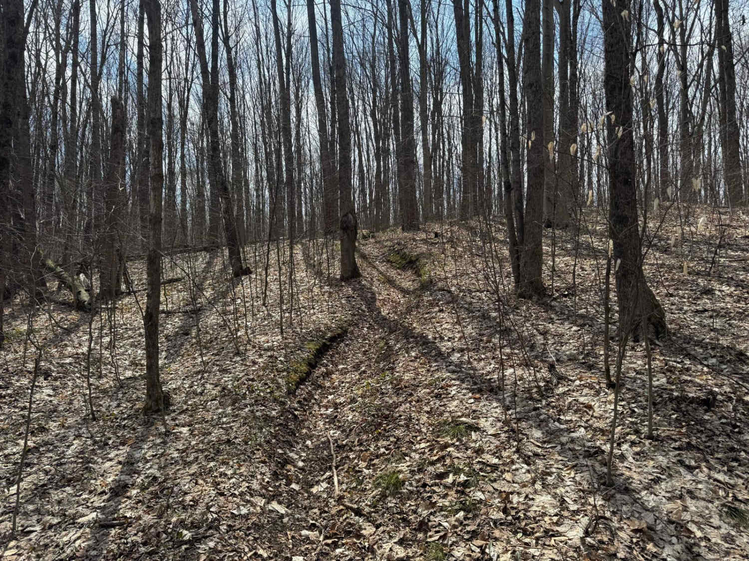 MCCCT - Lincoln Hills to Caberfae Spur