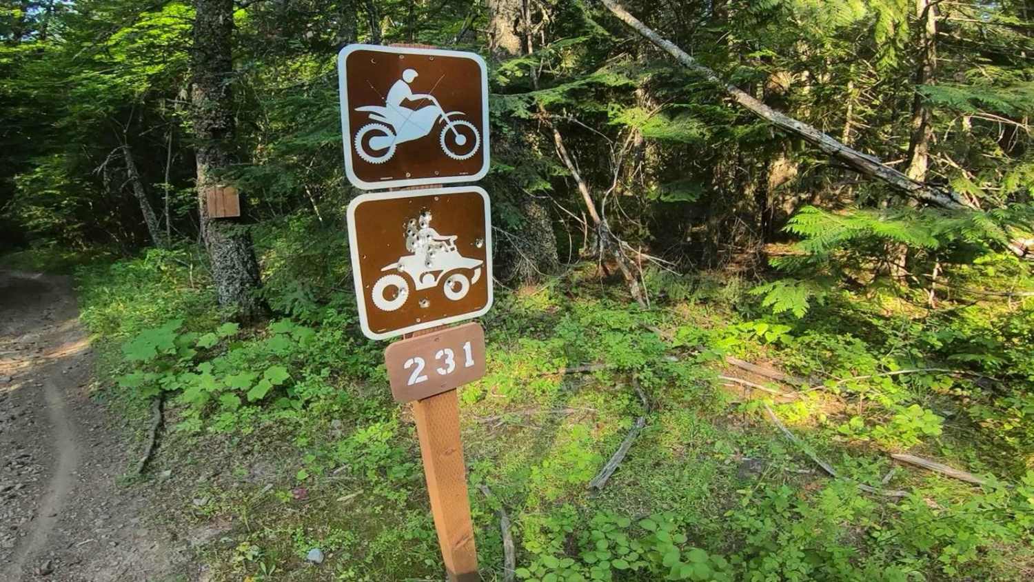 Little Blacktail Trail