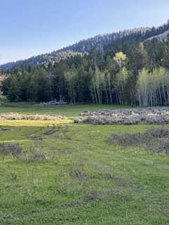 Manning Creek