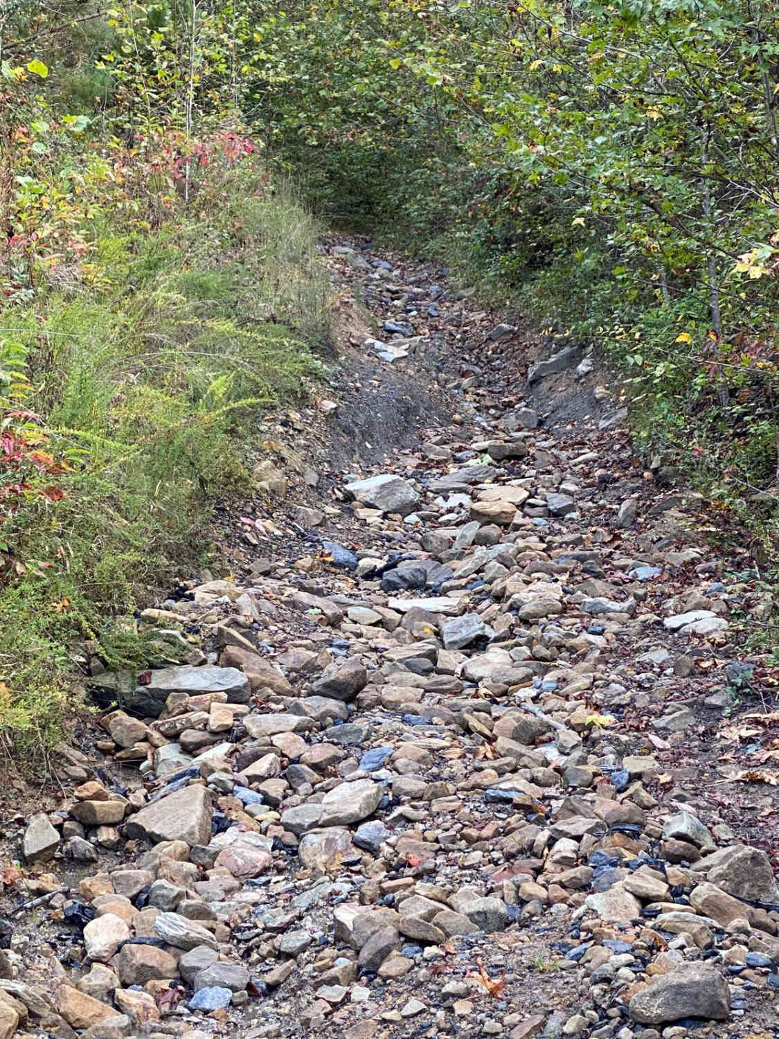 Top of The Ridge Trail