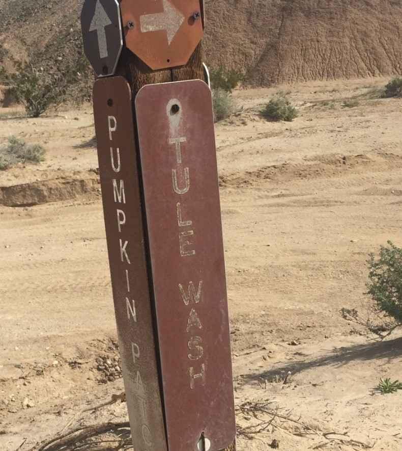 Tule Wash