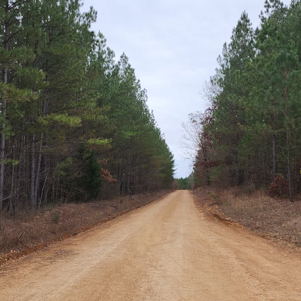 Old Highway 50