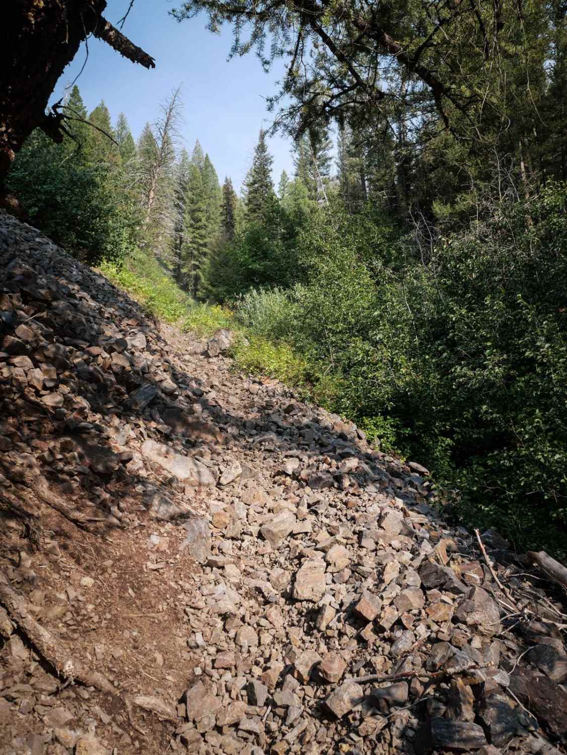 Silver Creek 