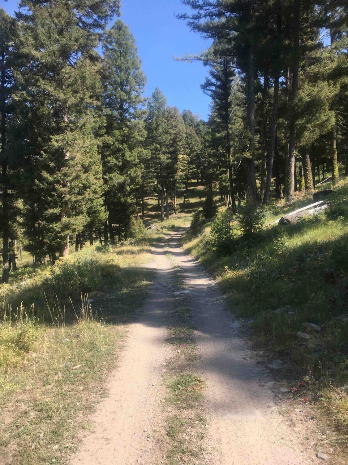 Stoddard Creek Loop Trail