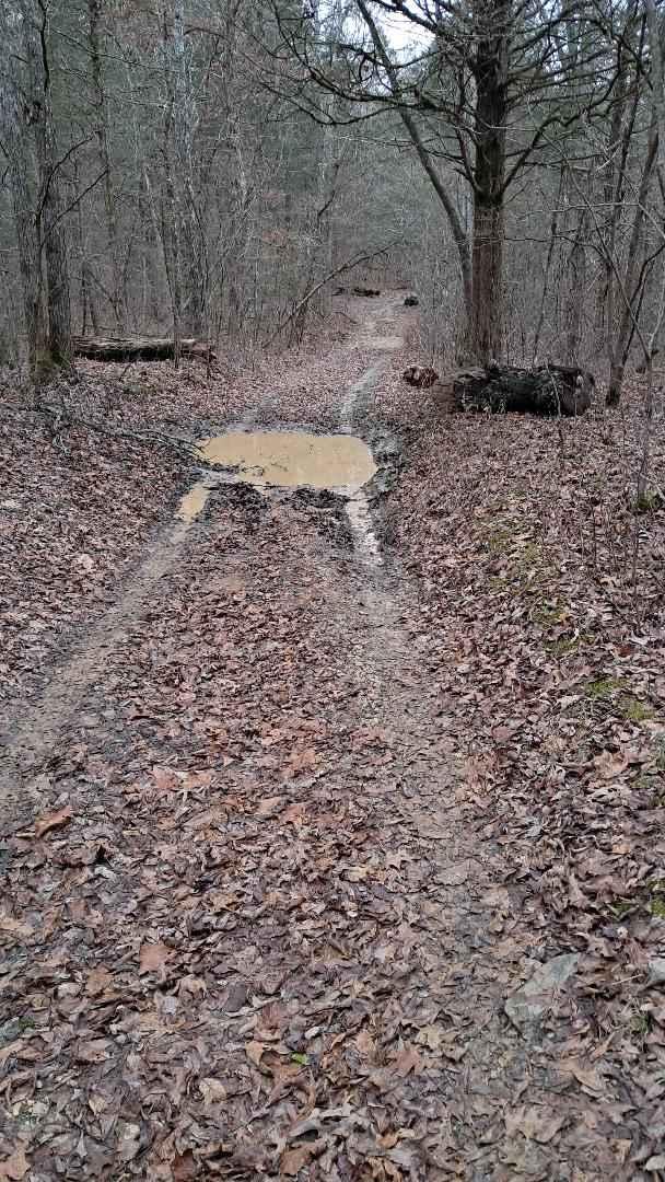Laura Thompson Trail