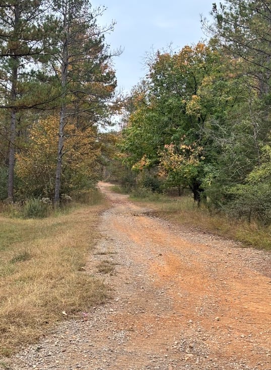 Annex Road / 11