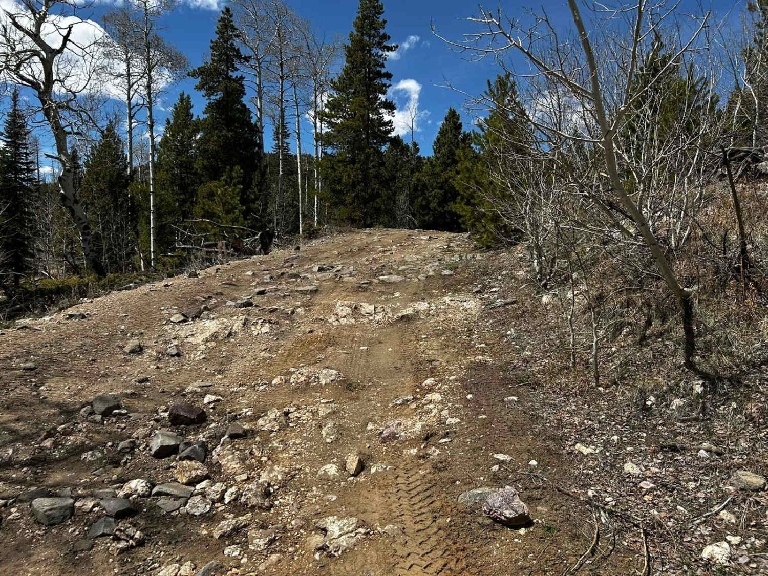 Pratt Creek Cutoff South