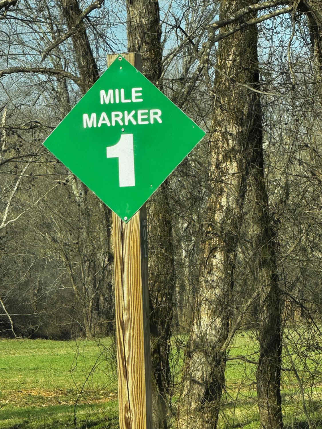 Main Loop
