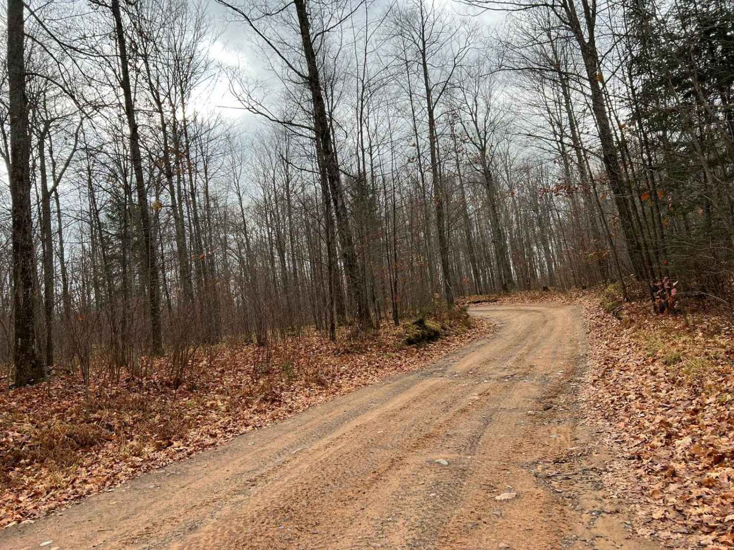Florence County F6 North Horseshoe 