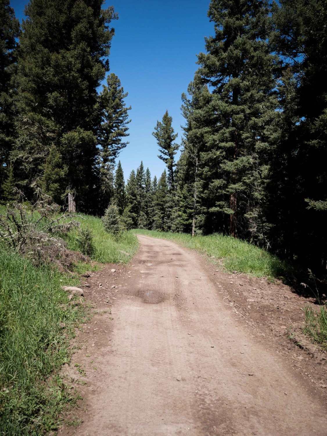 Lower Buck Ridge ATV 