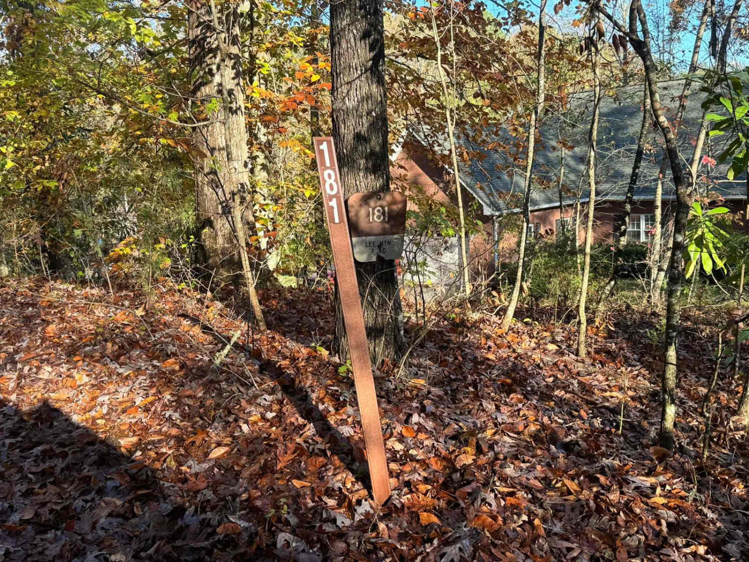 Lee Mountain Road - FS 181