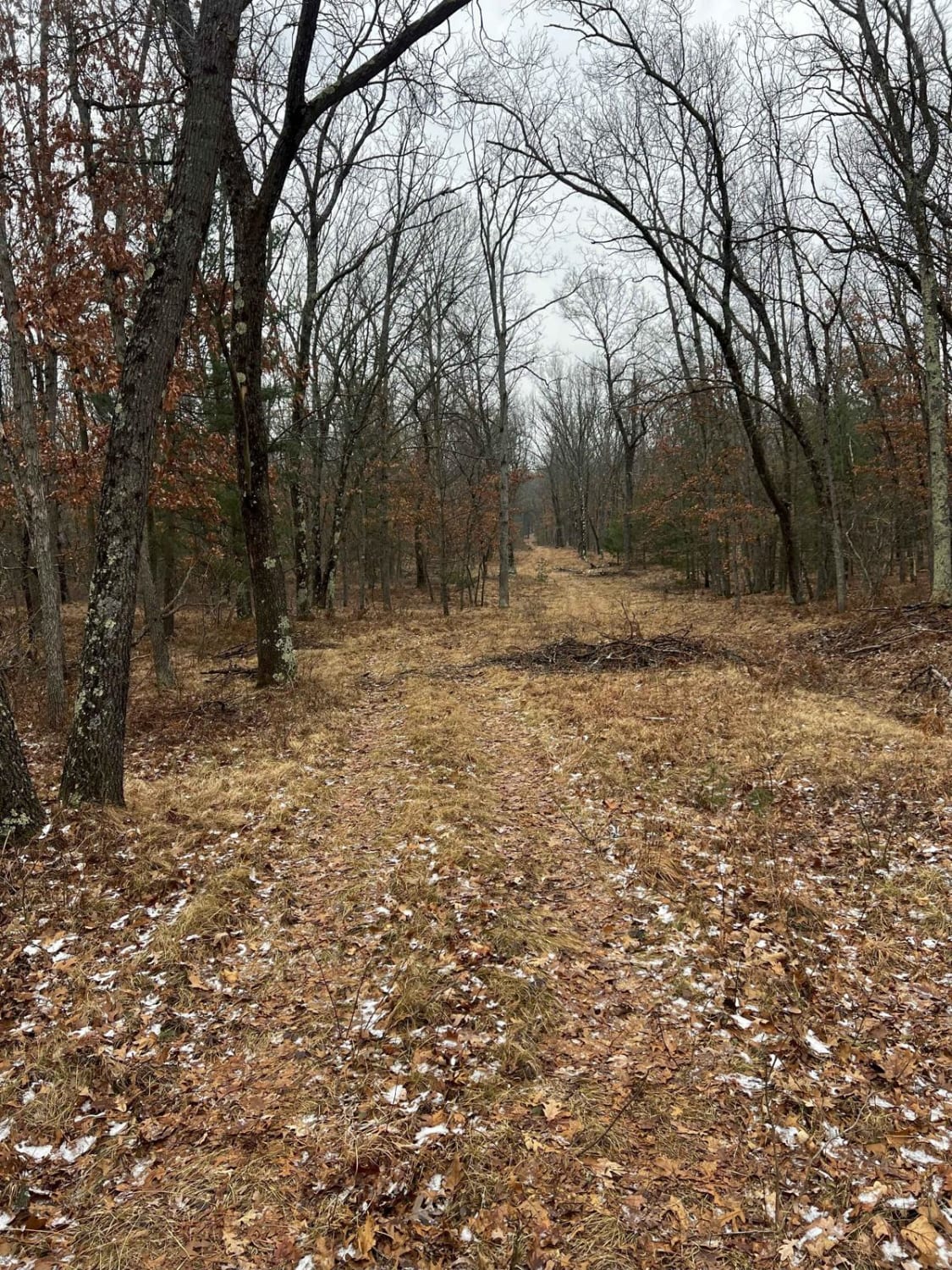 Yates Lookout Tower Trail (NFS 9901)