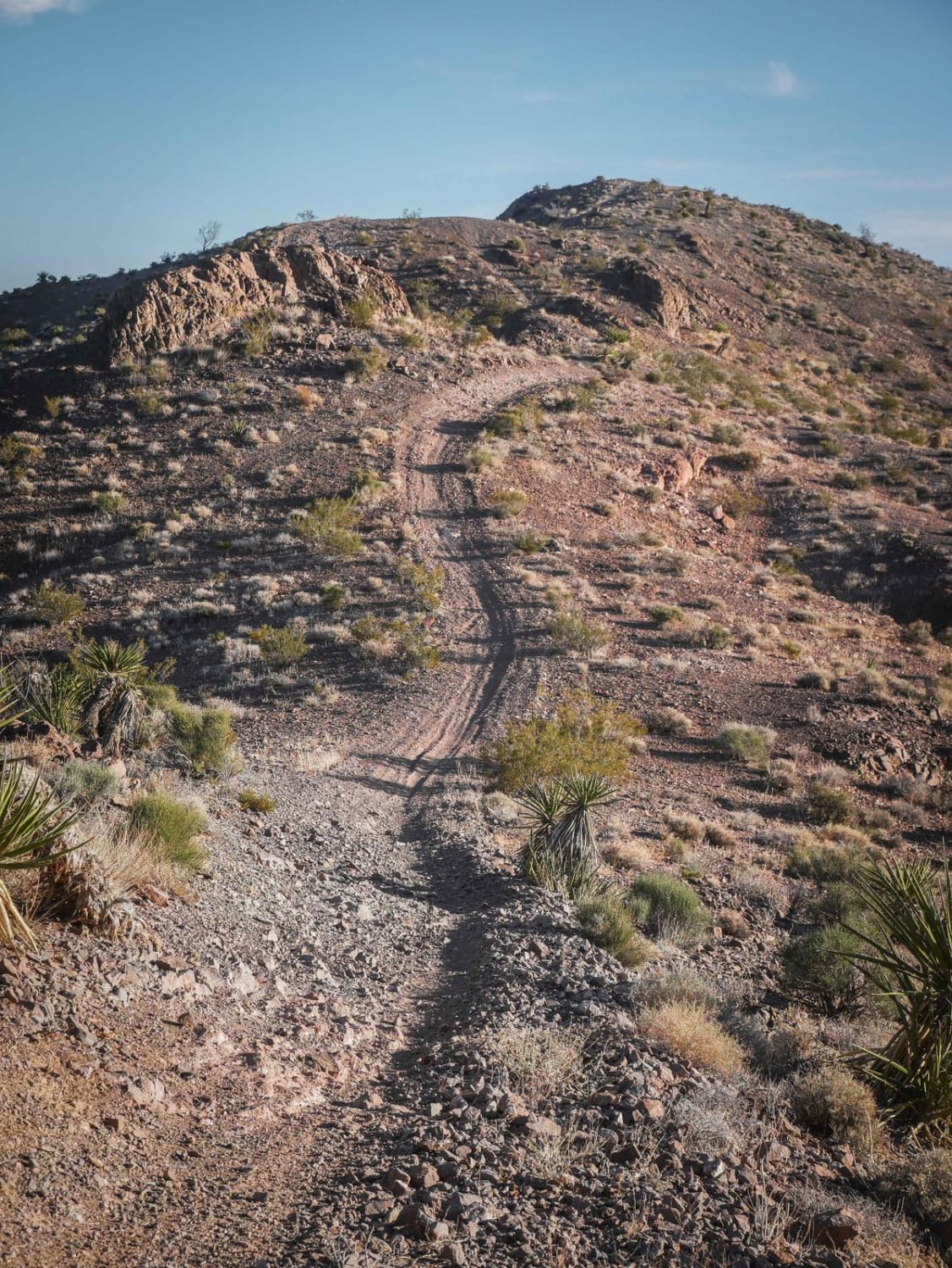 Nelson Single Track 