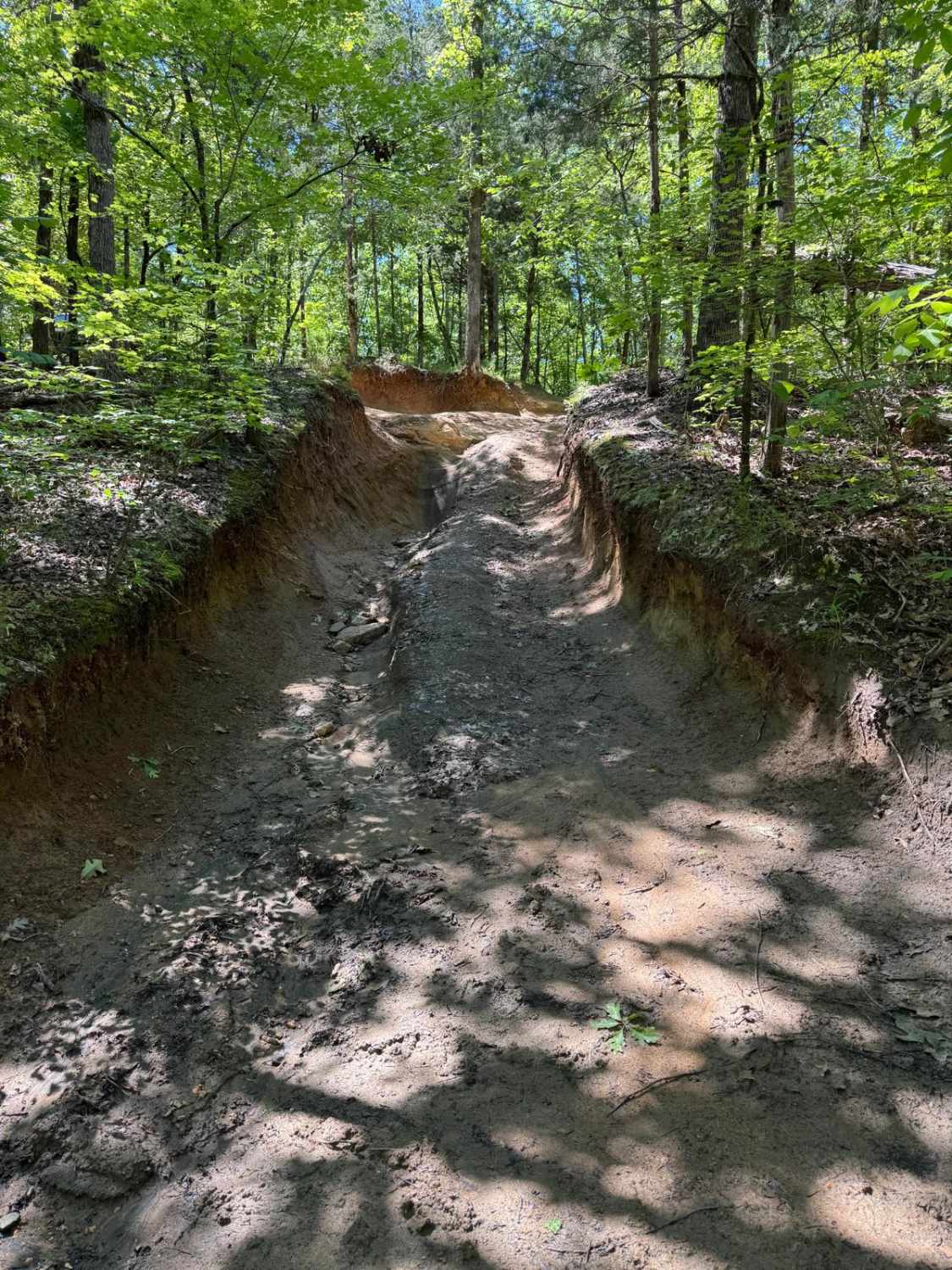 Clemson Detour