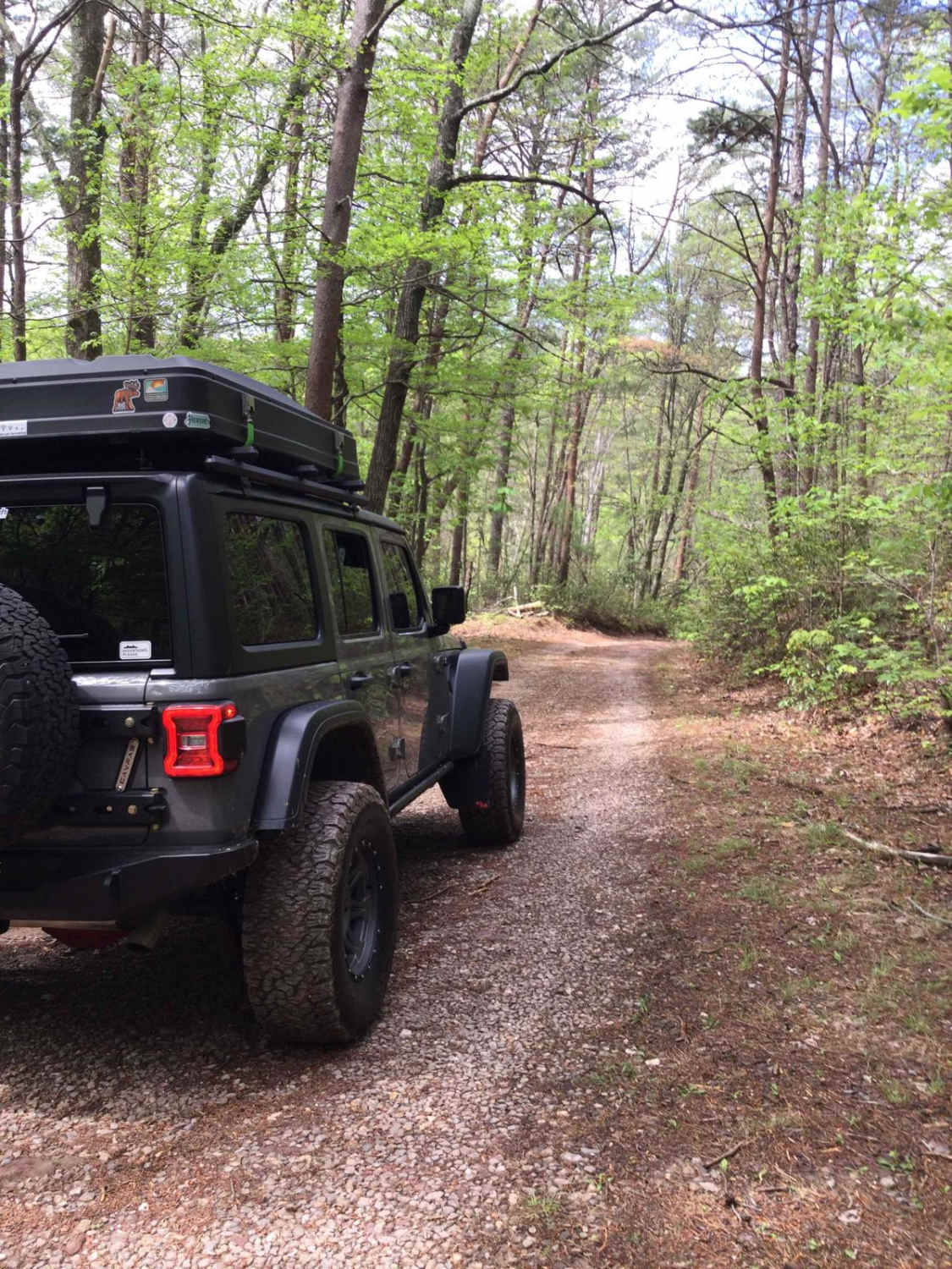 Cane Creek Road - FS 57