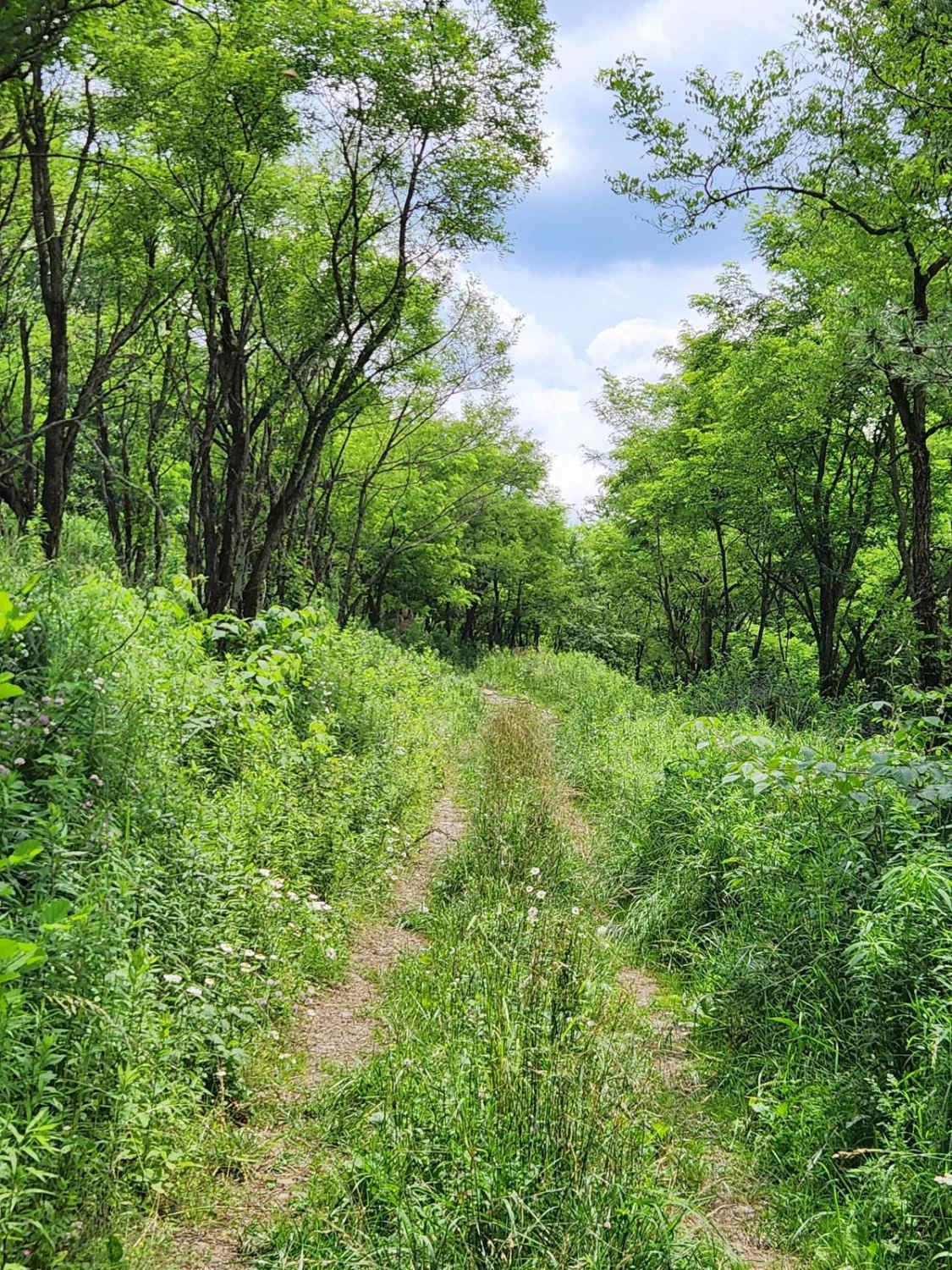 Trail 8H - Rock Run Recreation Area