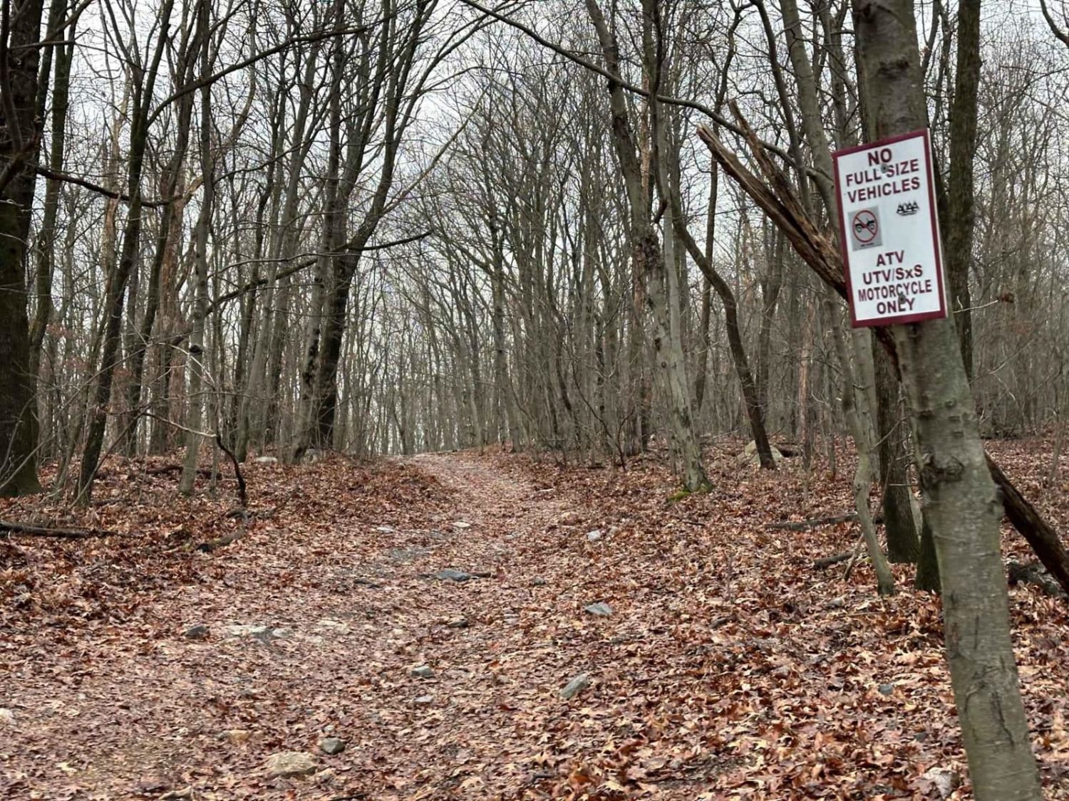 ATV Trail 65