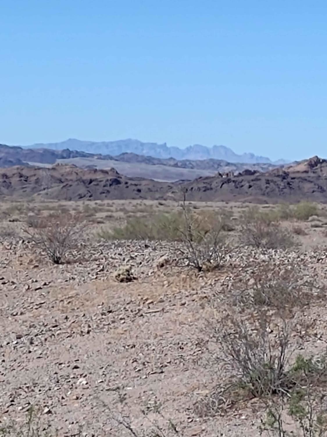 Osborne Wash