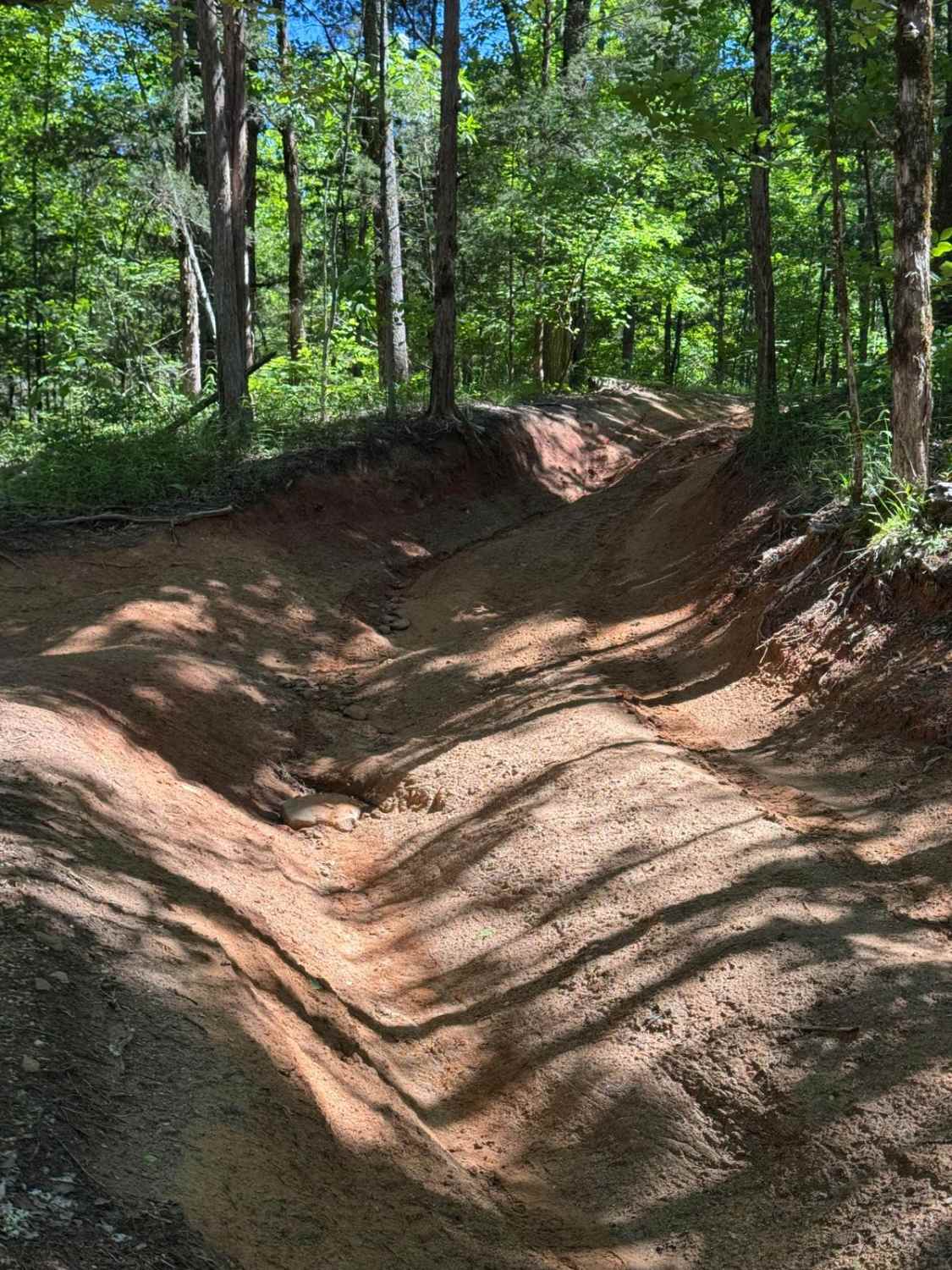 Clemson/Tornado Cutoff