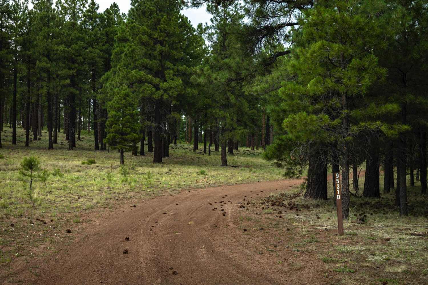 Section 16 Hill