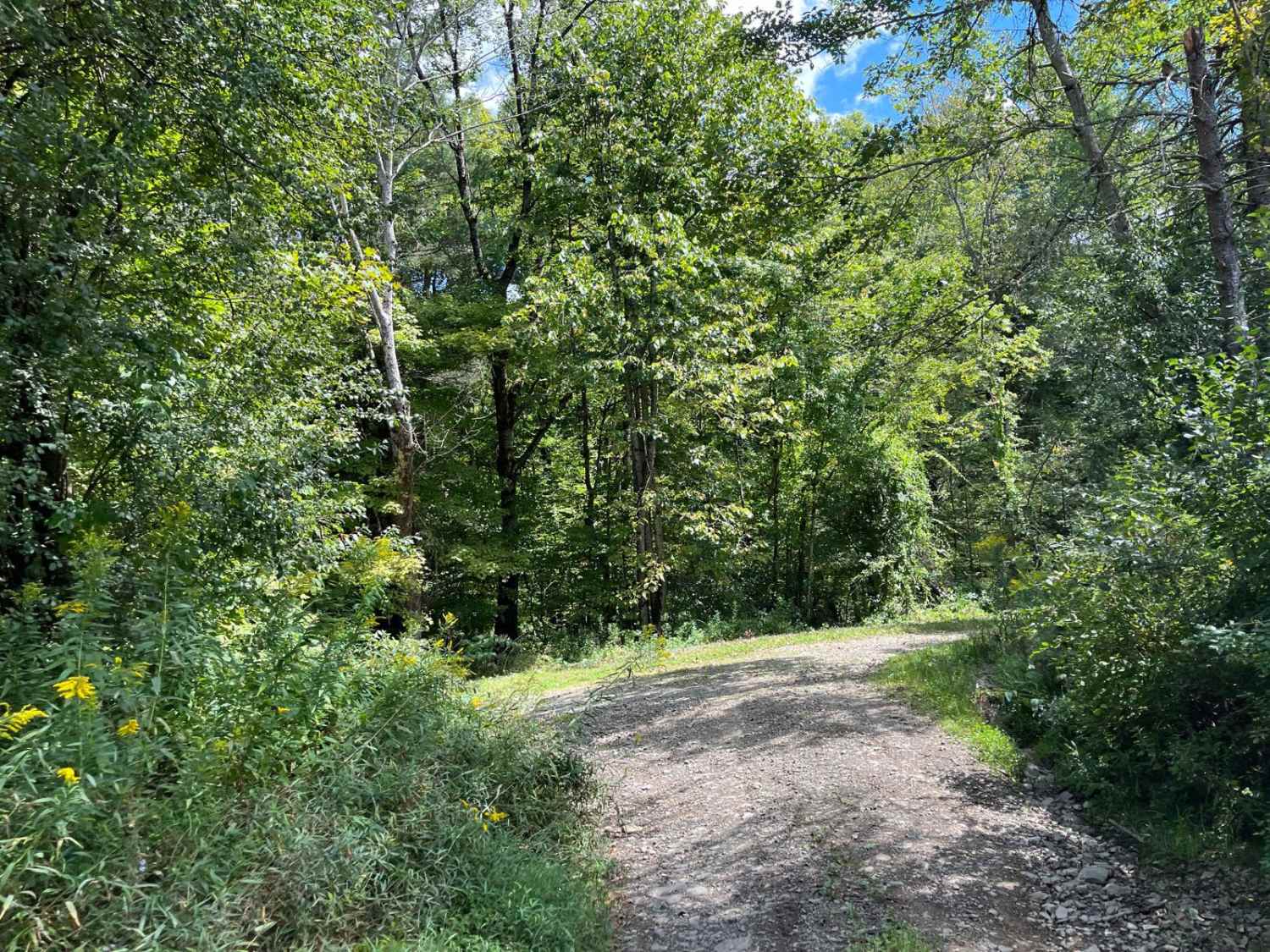 Cabin Road