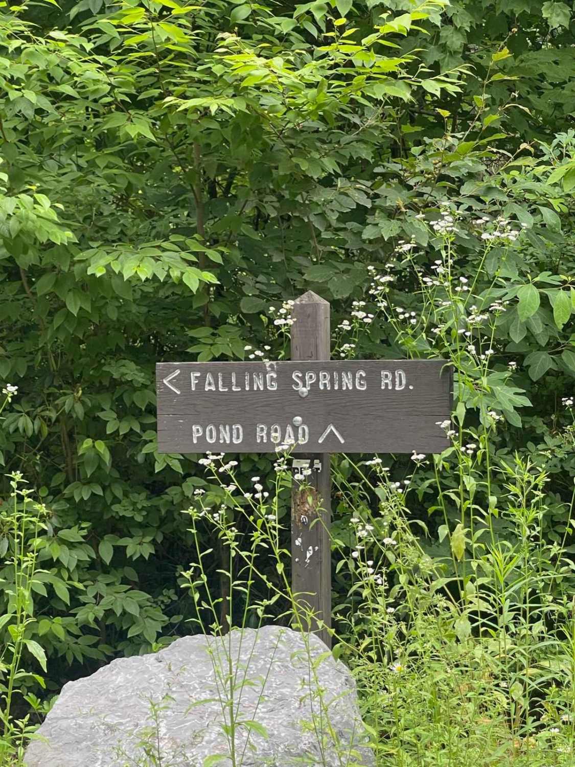 Pond Road