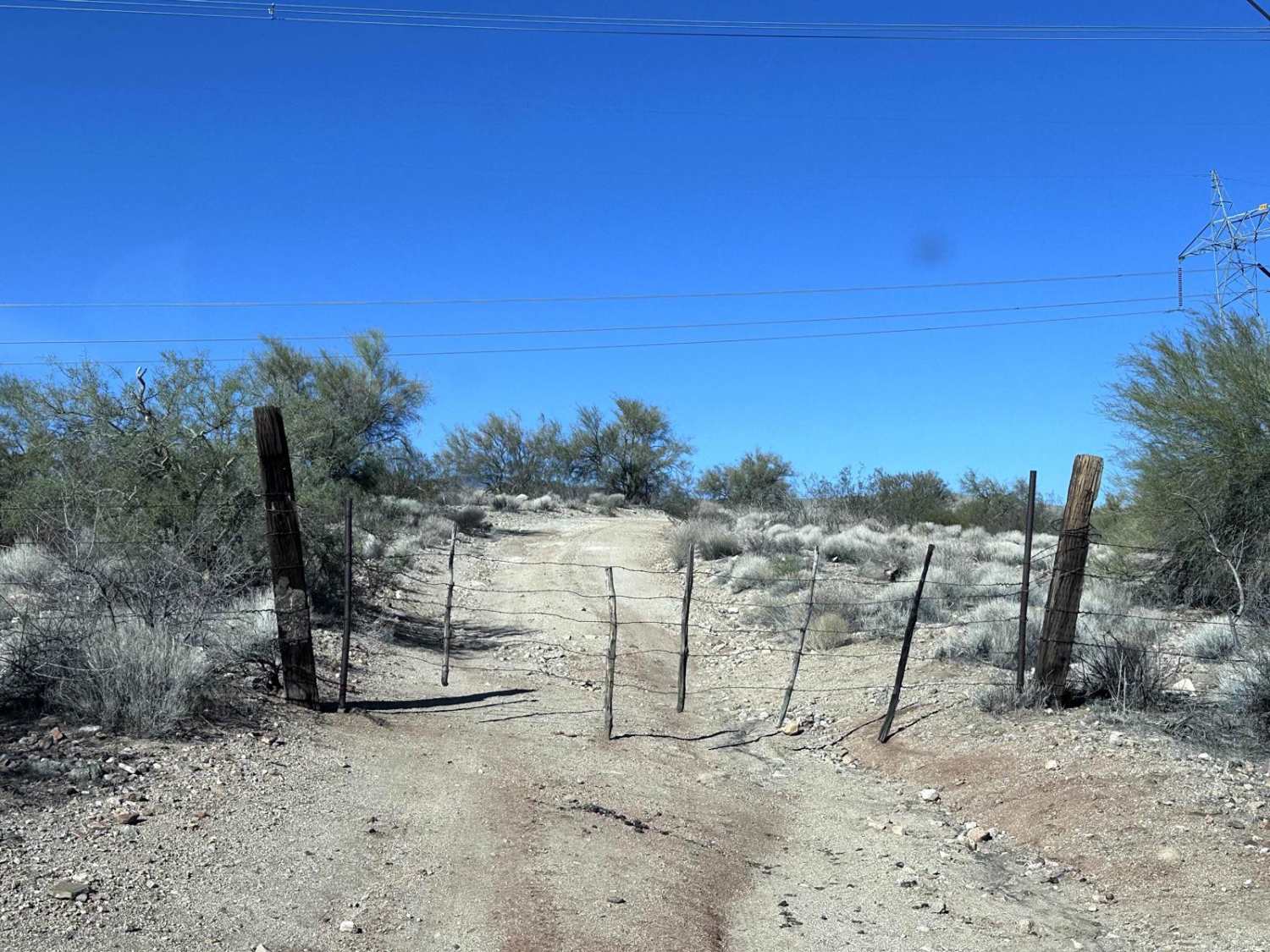 Leviathan Mine Trail