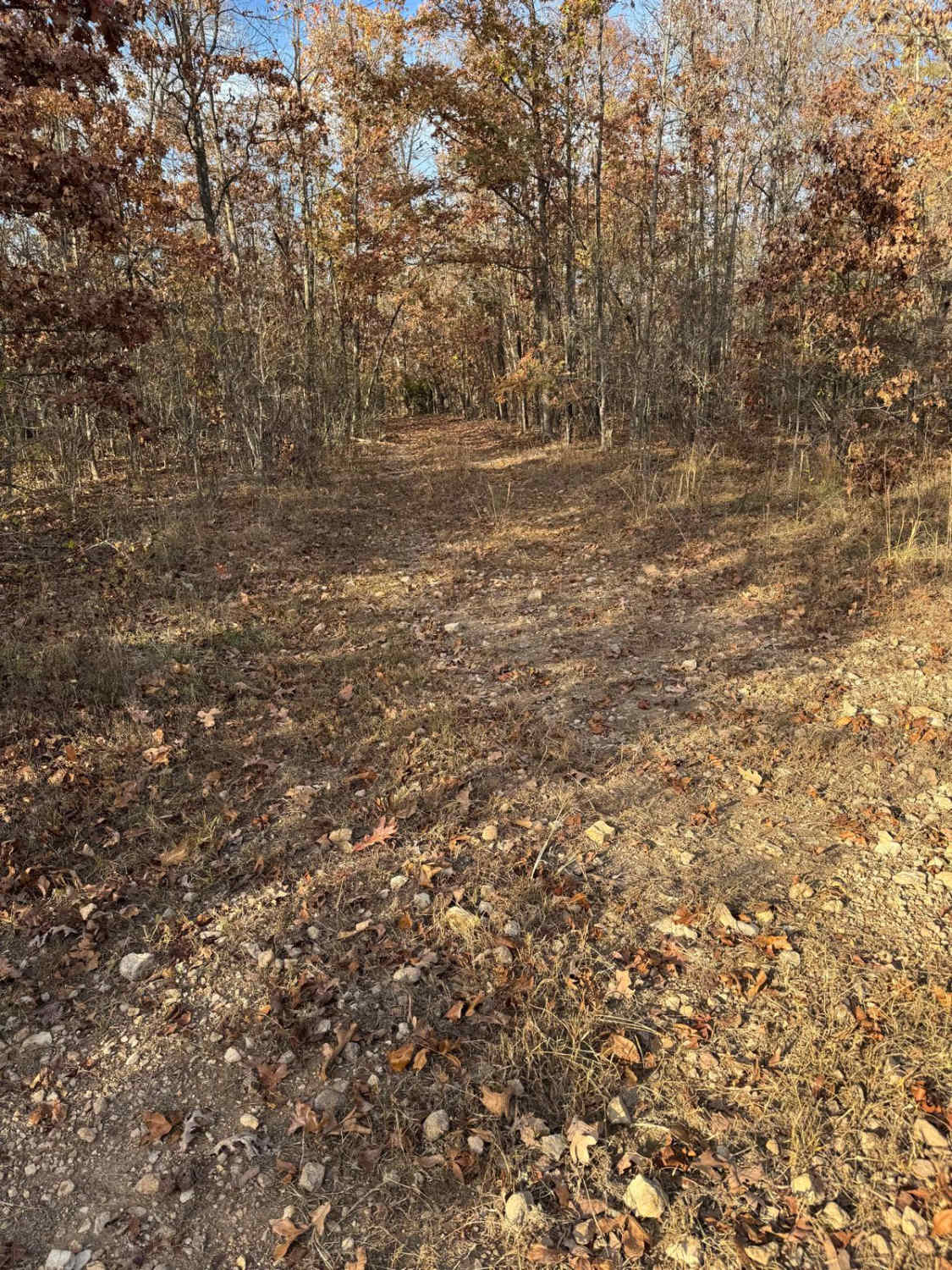 Monkey Mountain, Missouri : Off-Road Trail Map & Photos onX Offroad