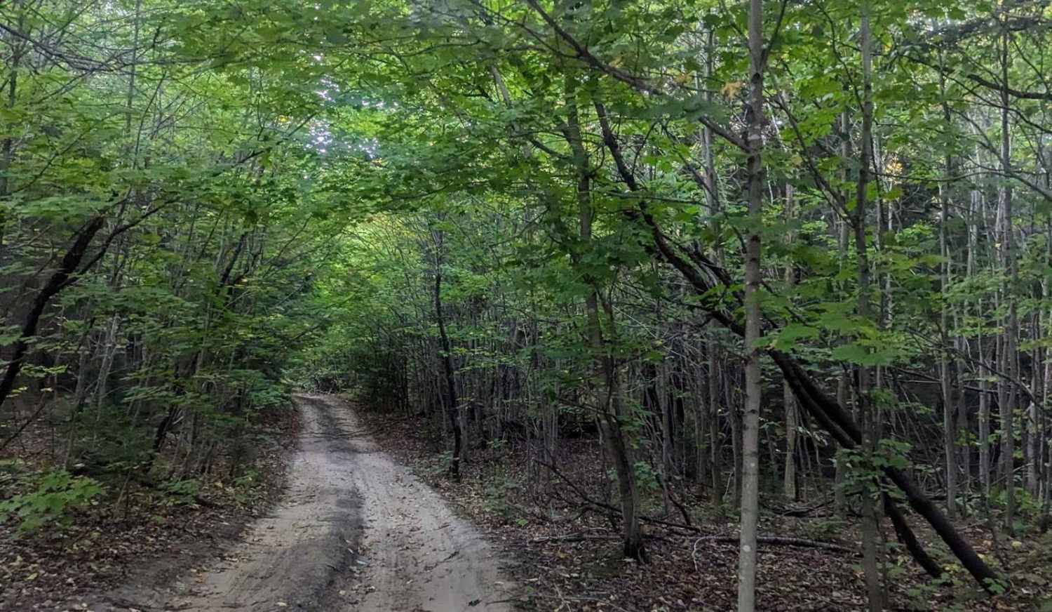 Back Country Route to Crisp Point Lighthouse