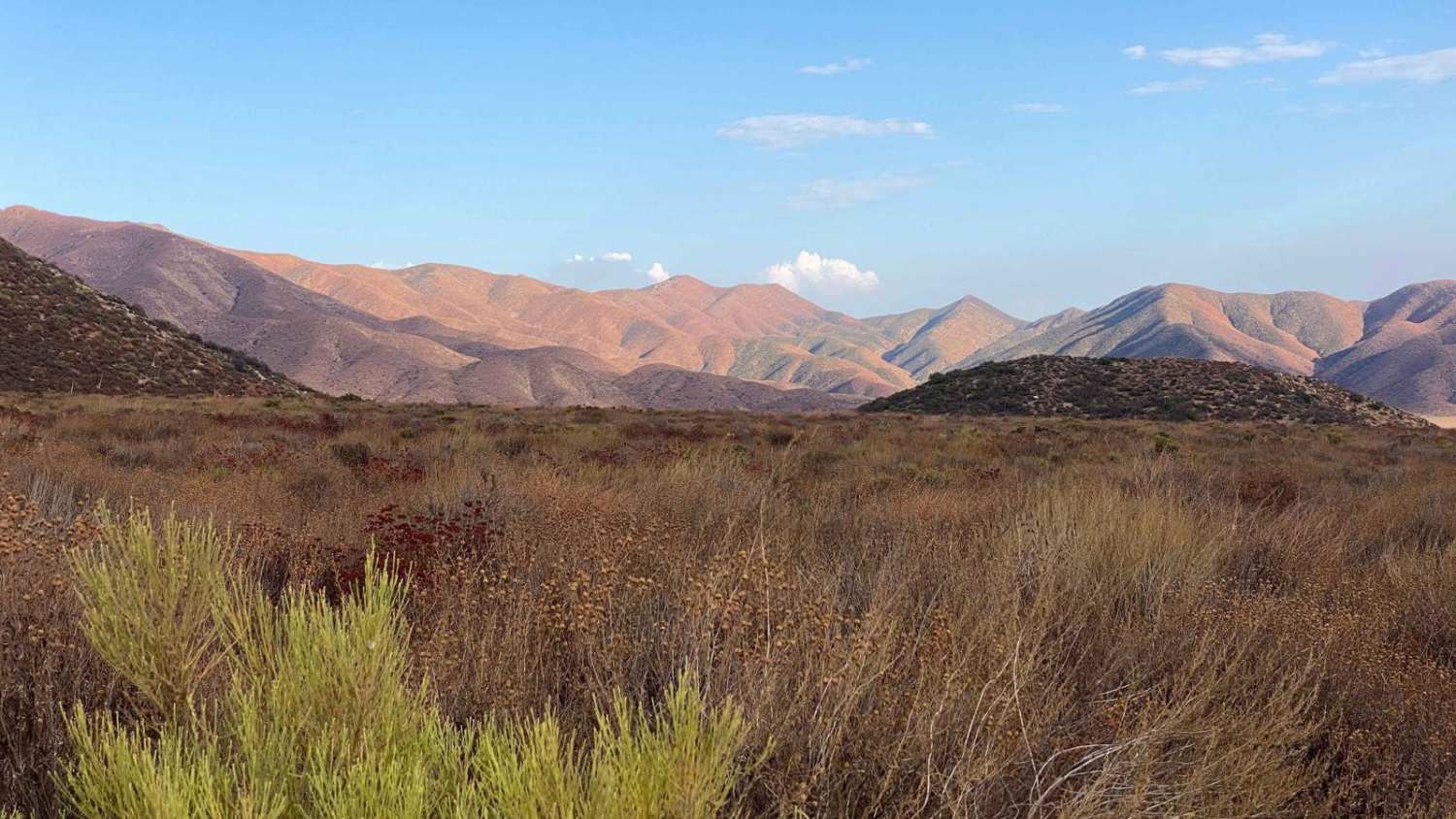 Quail Canyon Road