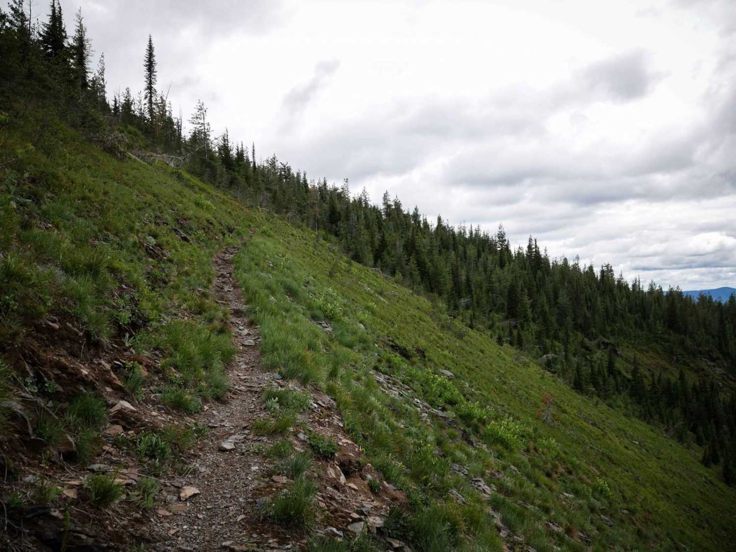 Flume Creek ATV 