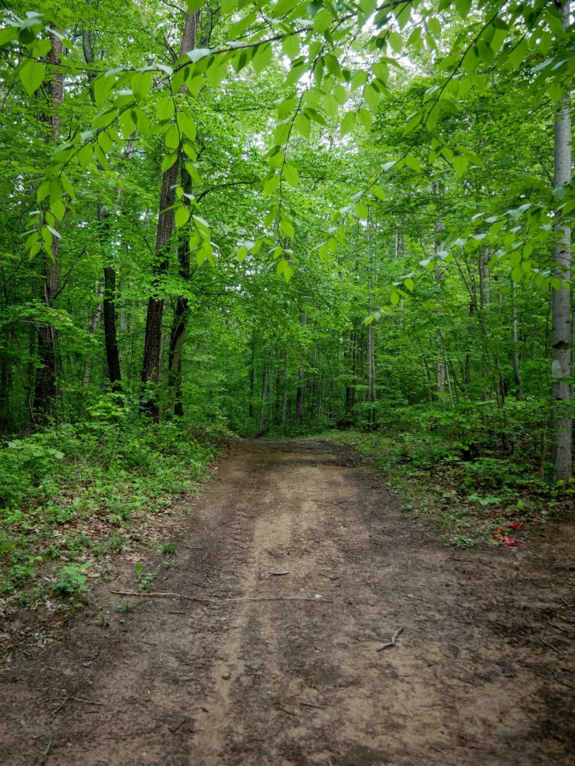 Trail 2