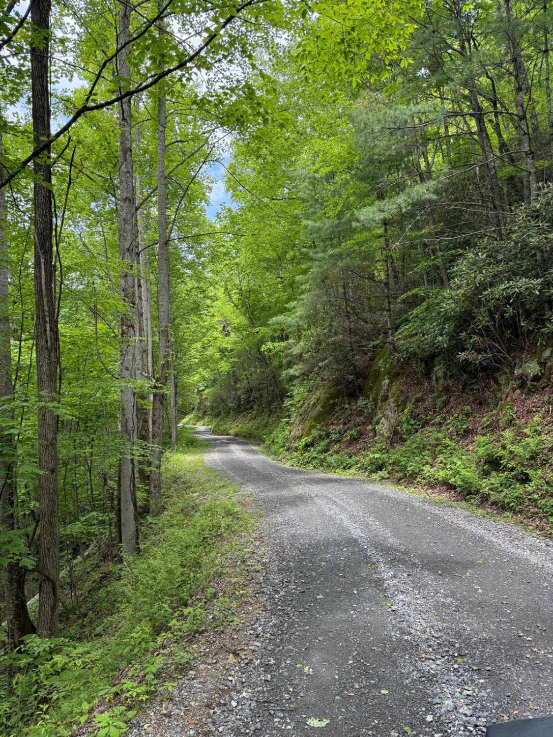 Wolf Creek Road 