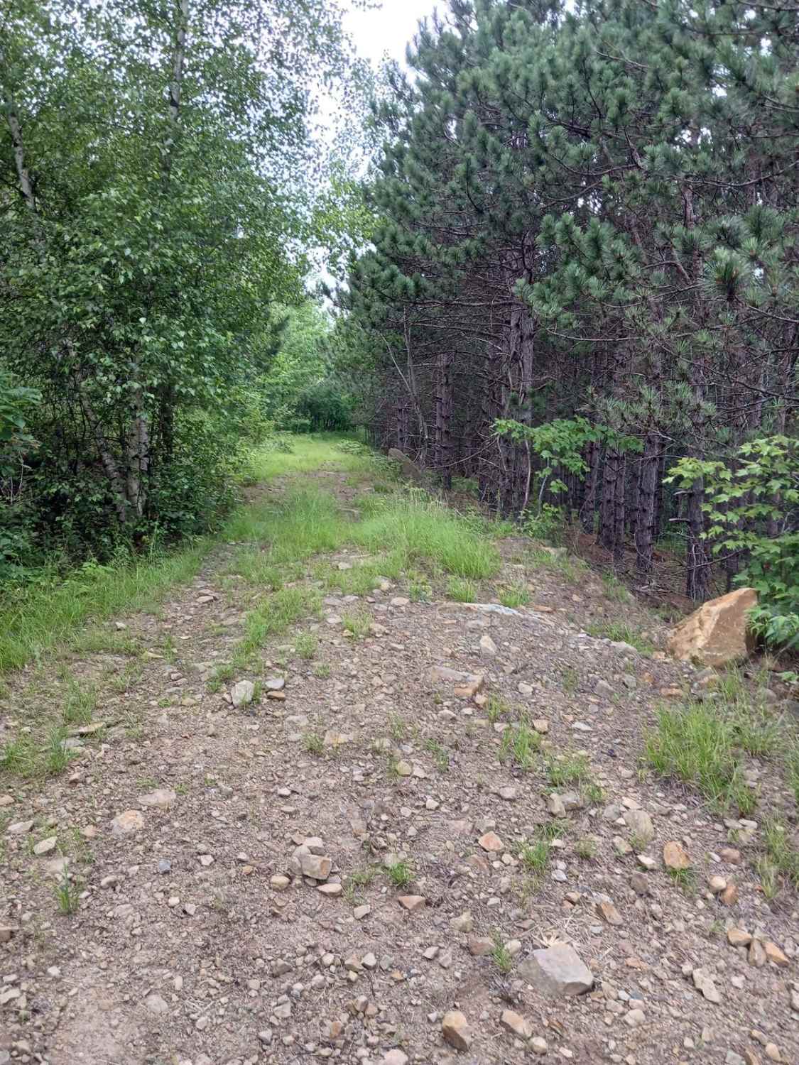 Trail 11G - Rock Run Recreation Area