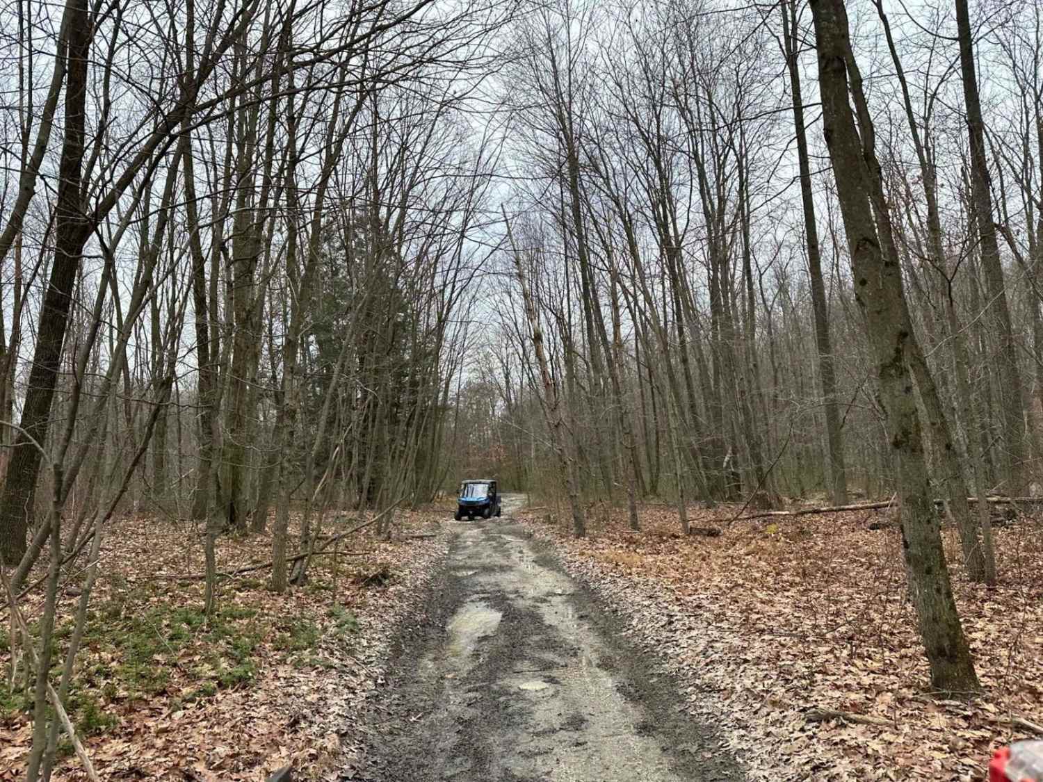 Locust Gap 22