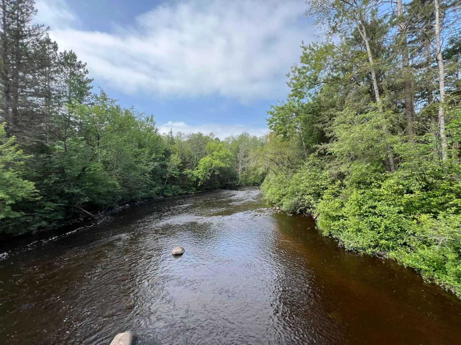 Michigan Creek Road - FS 2134