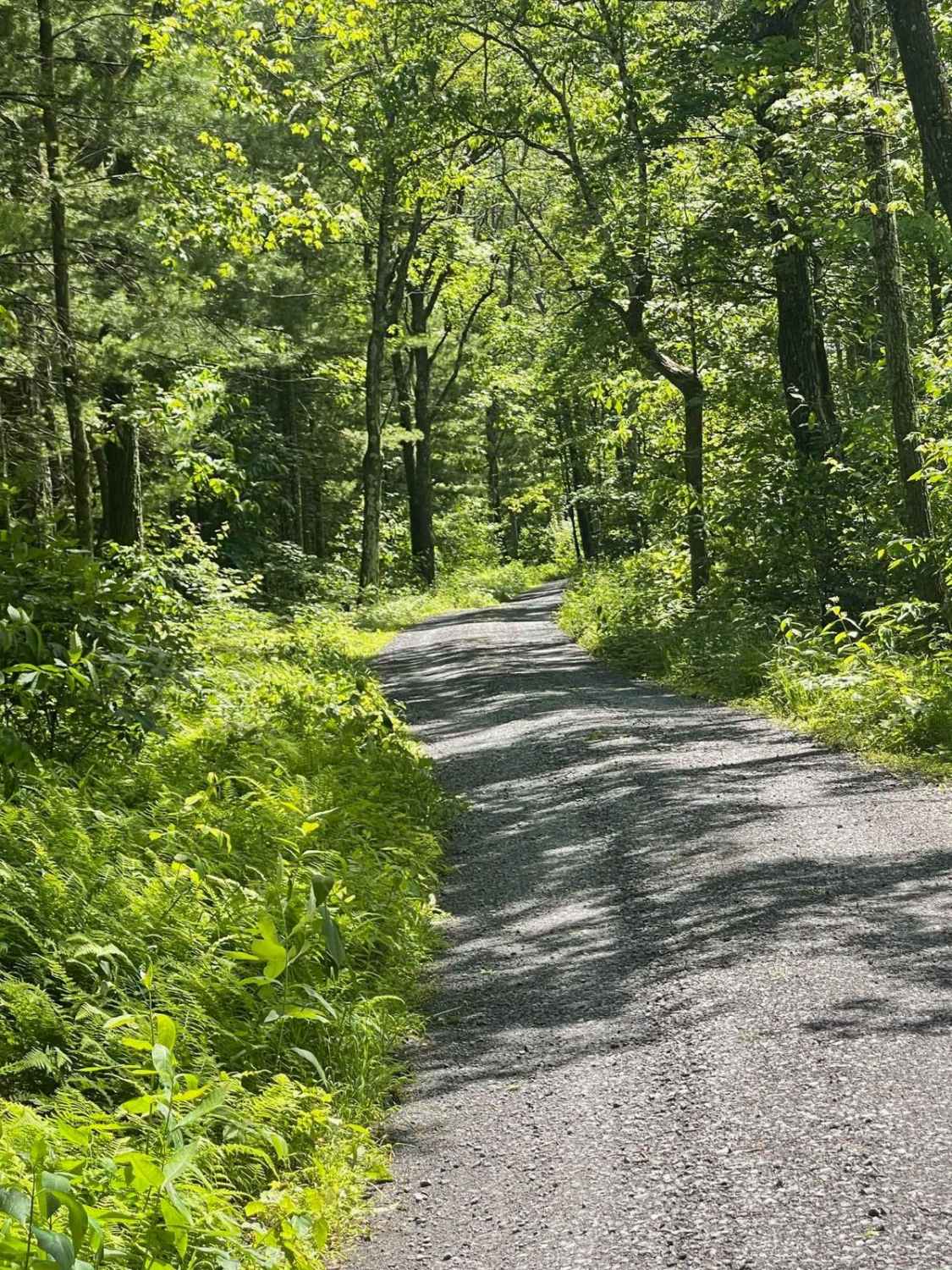 Robbins Run Road