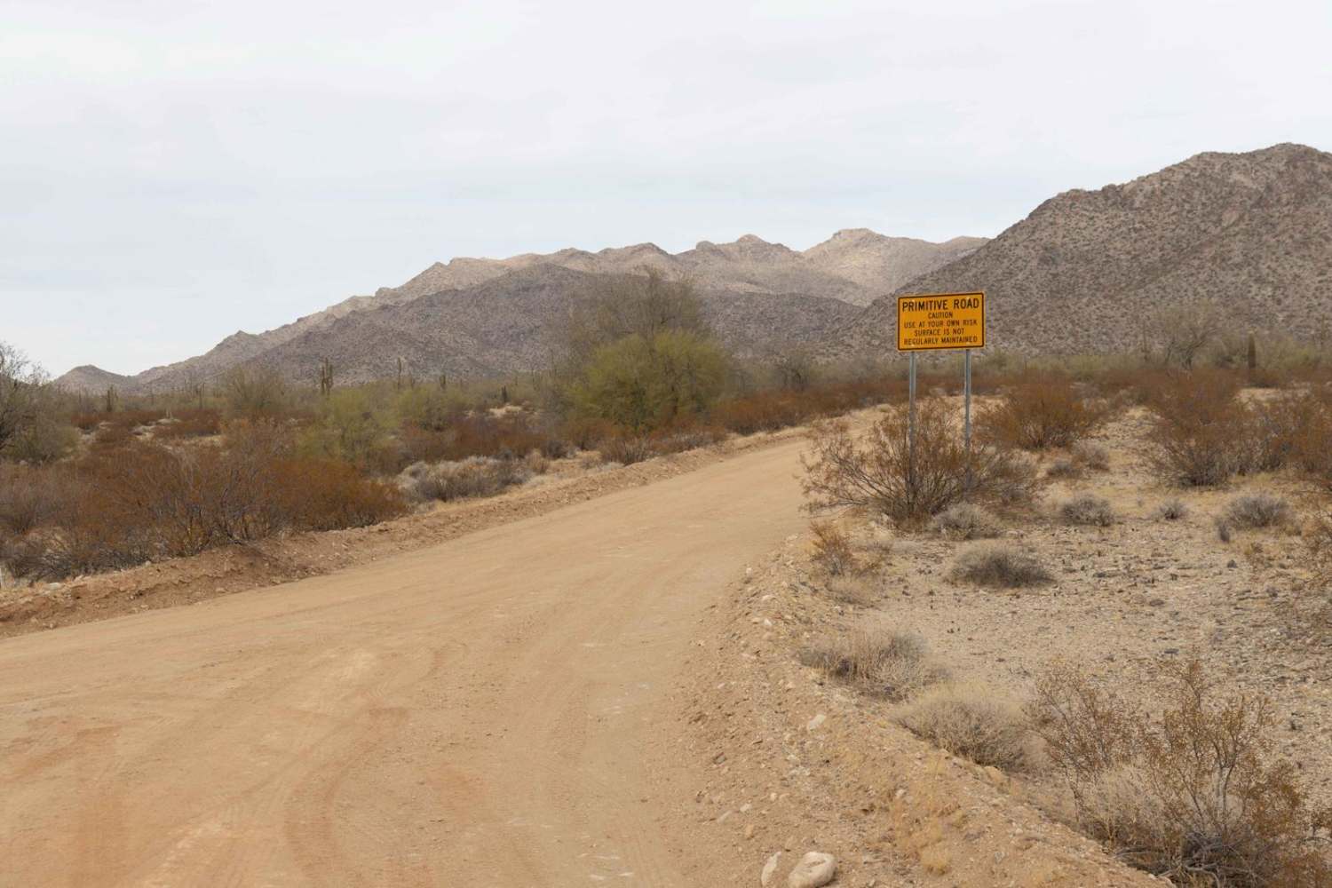 Rattlesnake Road