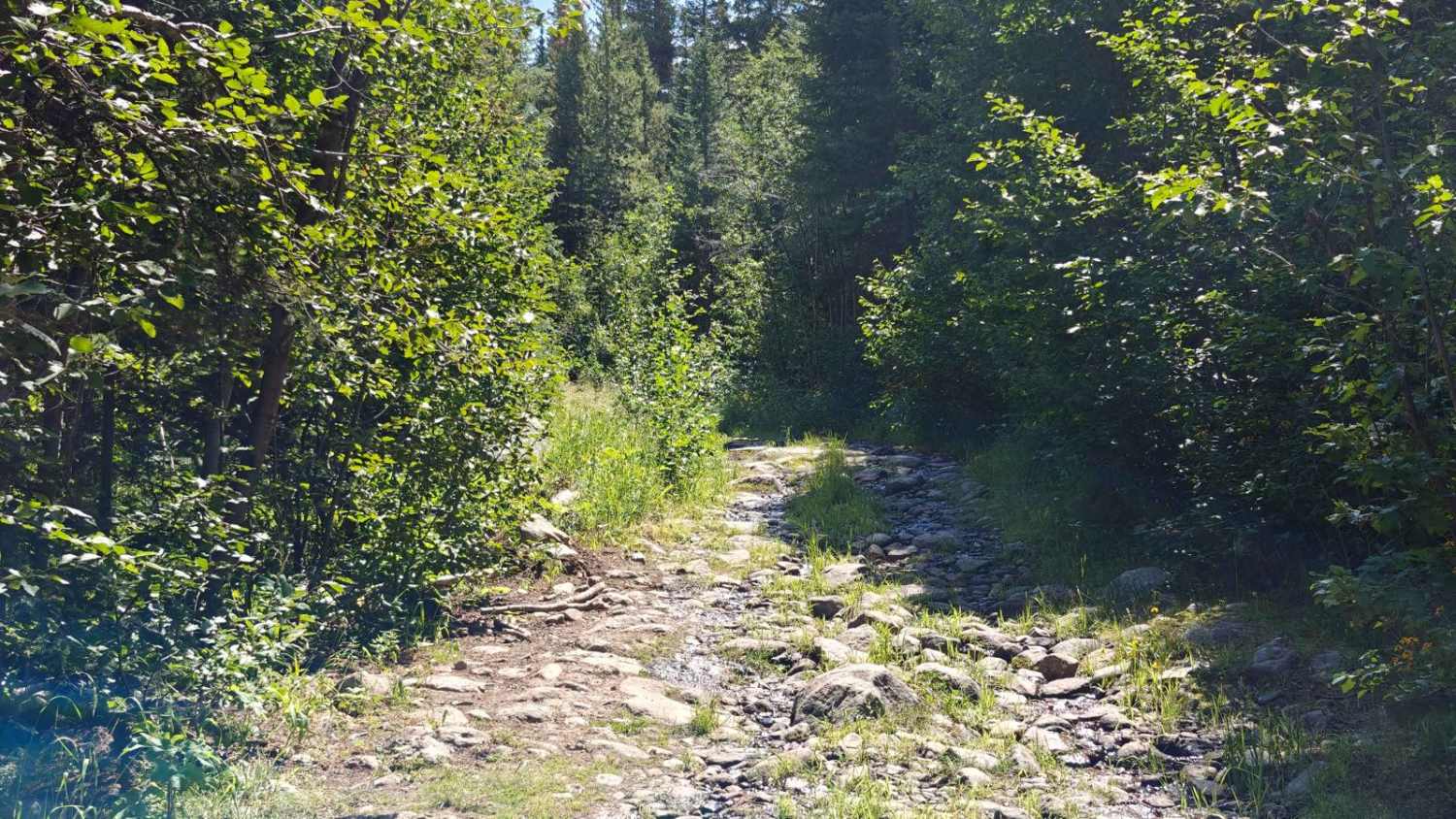 Powerline - Cunningham Road