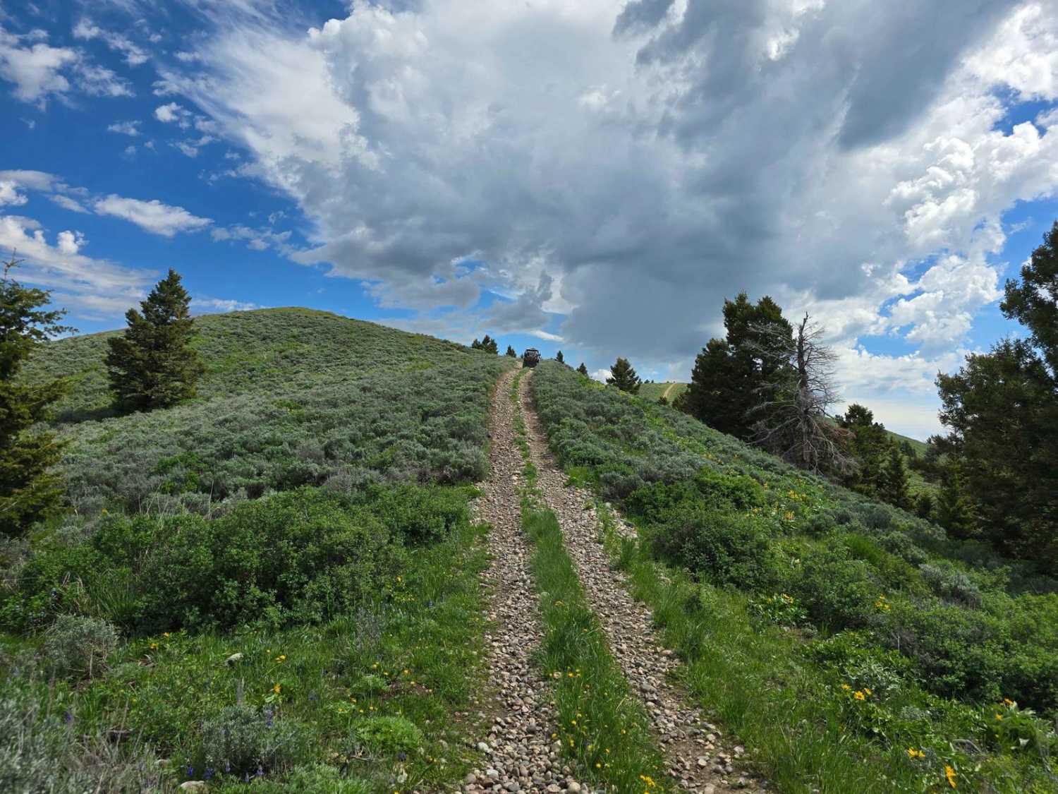 Stoddard Creek to Indian Creek Butte