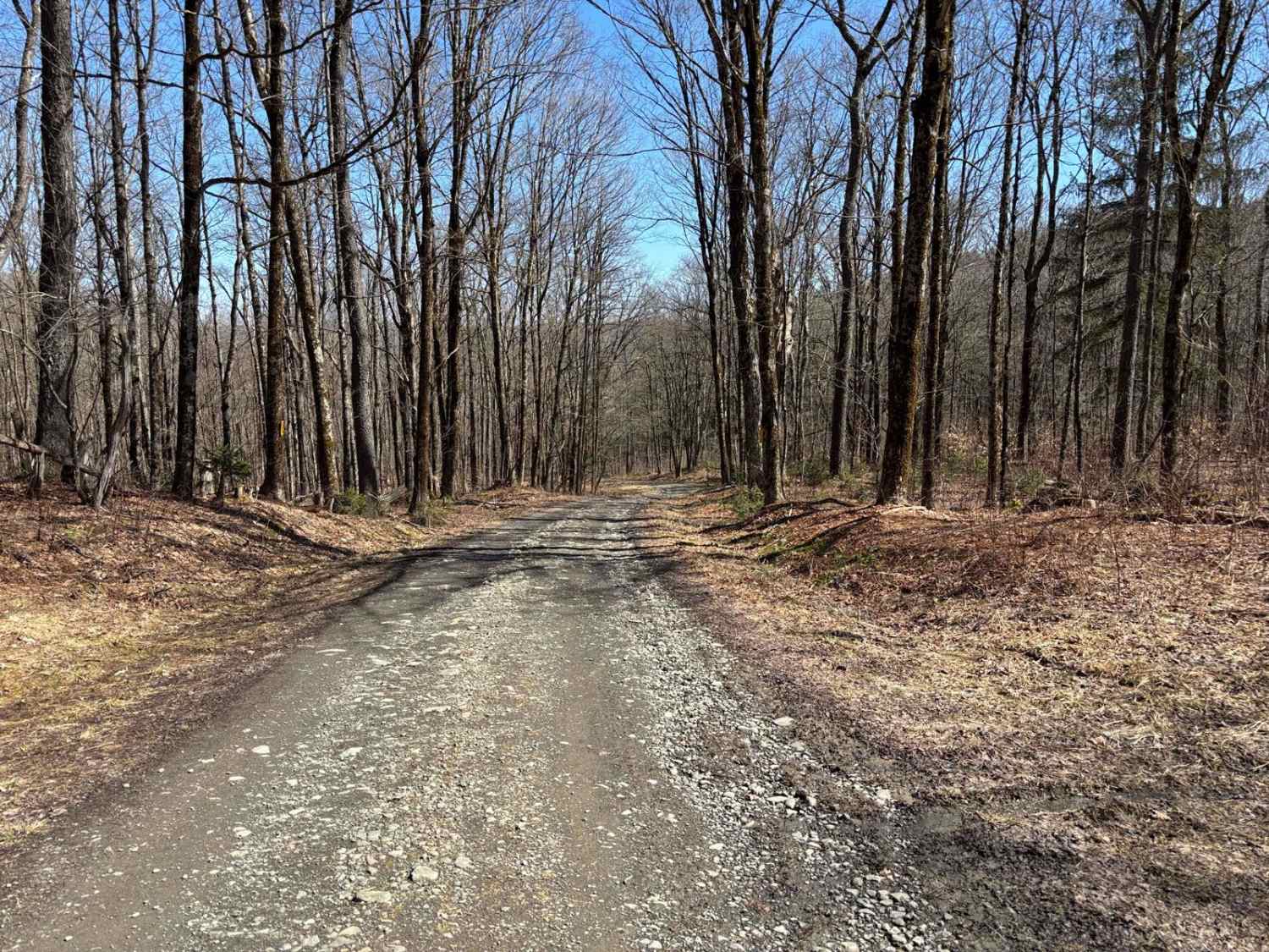 Freeman Rd
