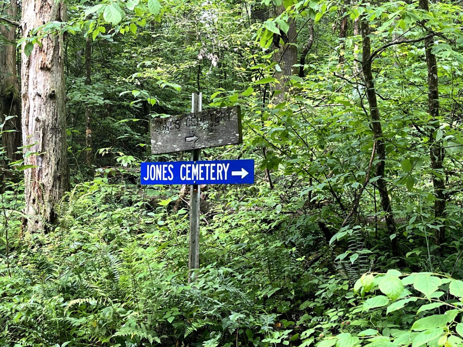 Foster Branch Road