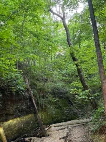 Jeff's Trail