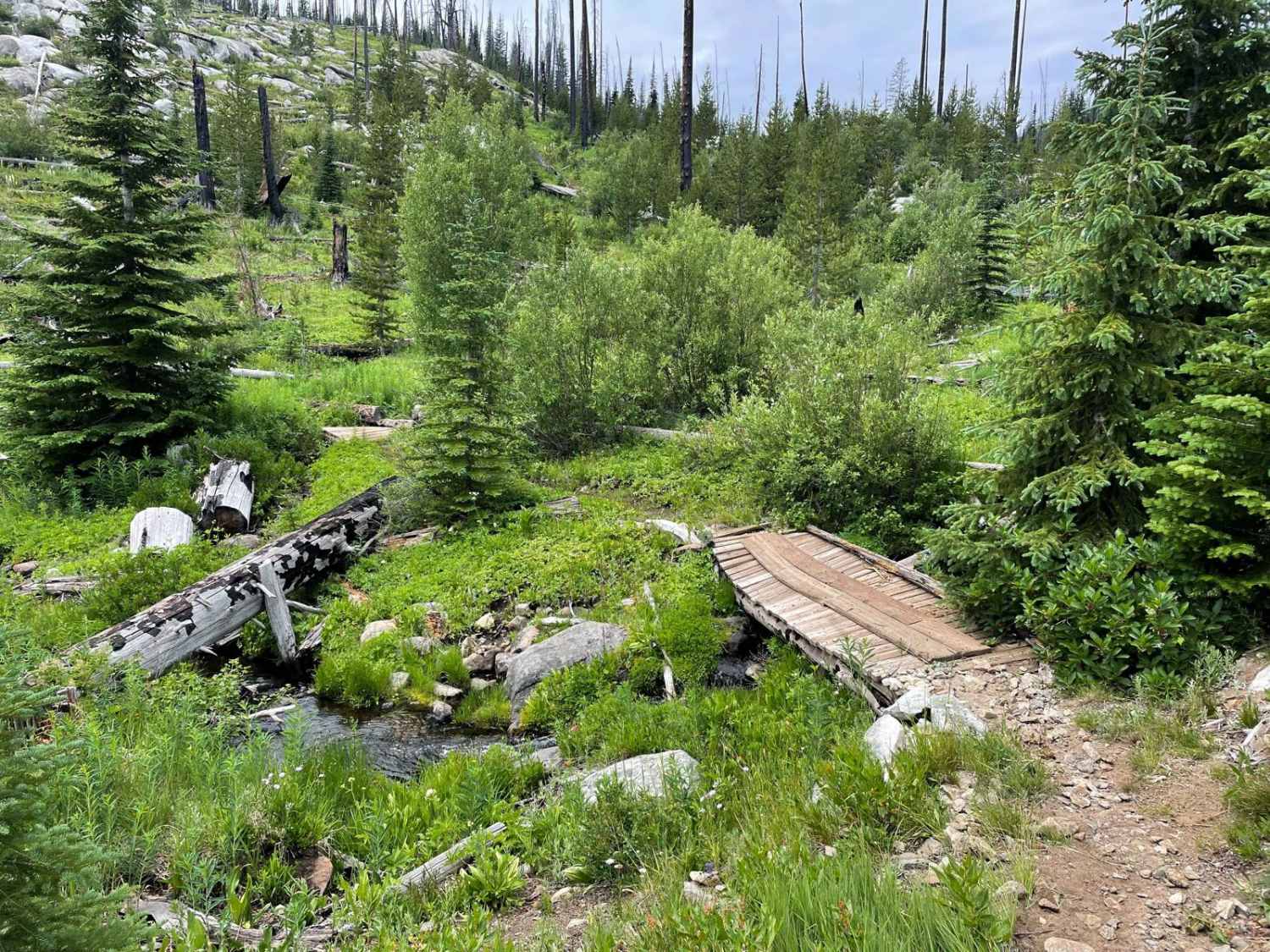 Clayburn Creek East