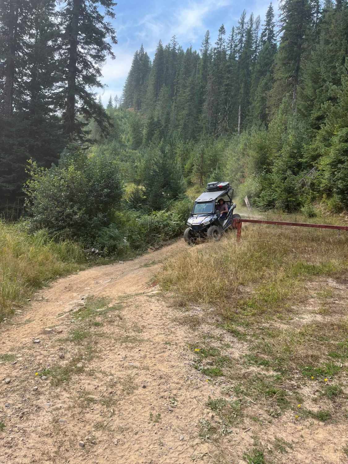 Tree Line Ride