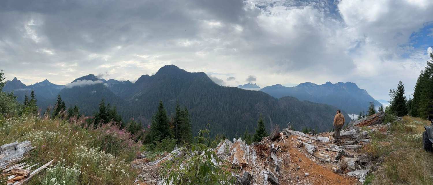 Helena Ridge