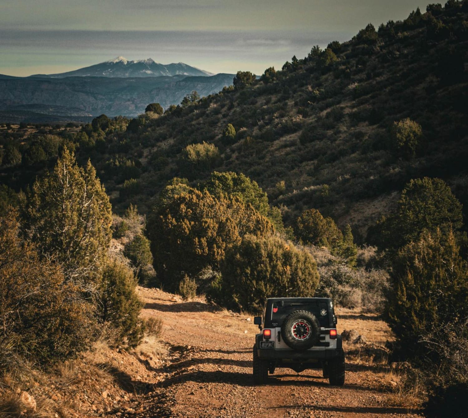 Backway to Williams - Jerome Trail