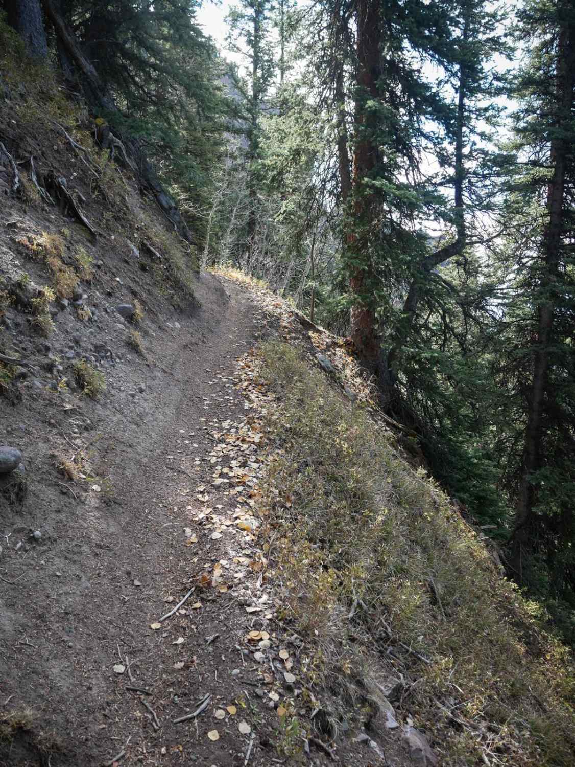 Nate Creek  