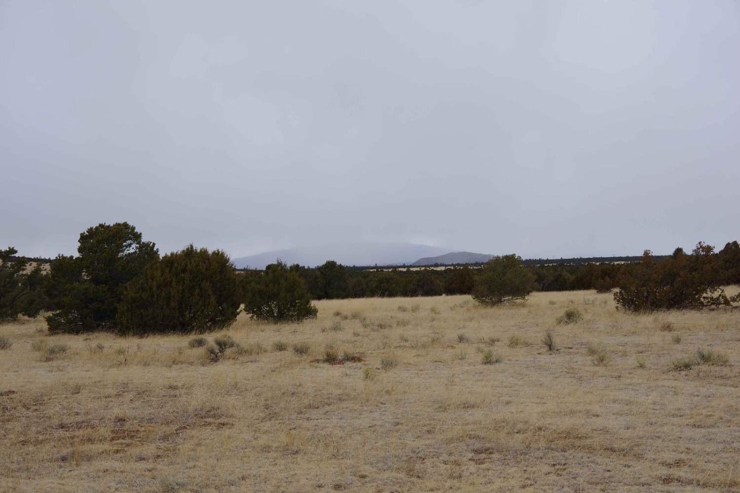 West Mesa Loop